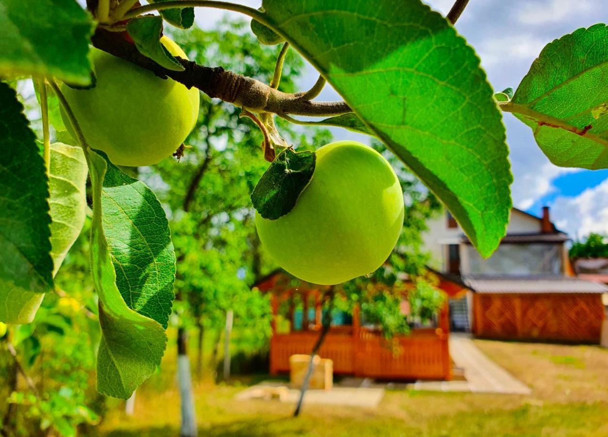 Domeniul Acasa In Vadu Izei Maramu Exterior foto