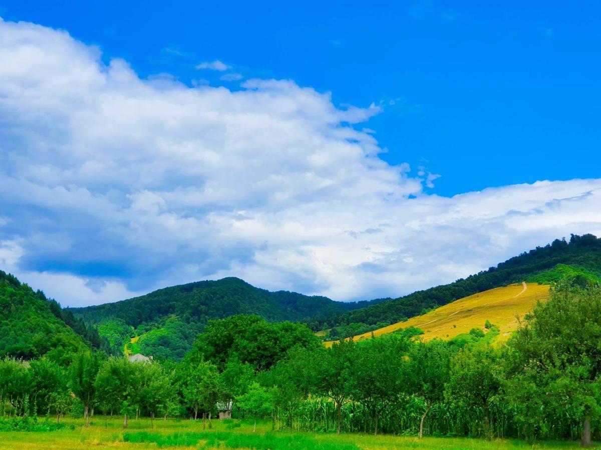 Domeniul Acasa In Vadu Izei Maramu Exterior foto