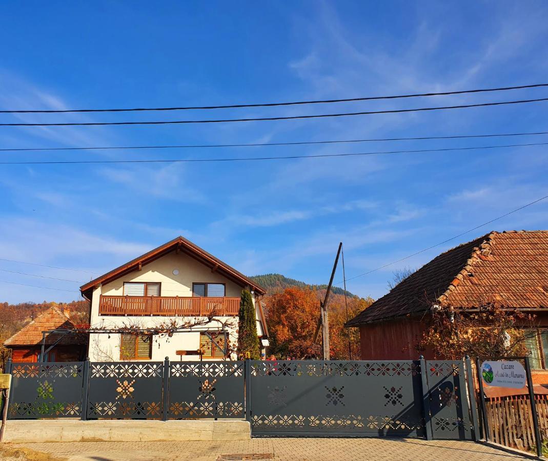 Domeniul Acasa In Vadu Izei Maramu Exterior foto