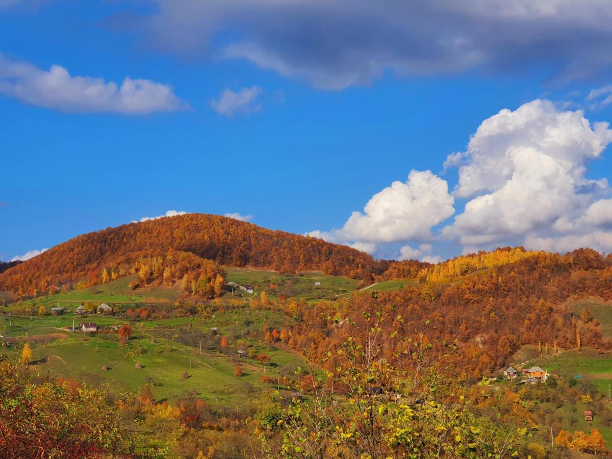 Domeniul Acasa In Vadu Izei Maramu Exterior foto